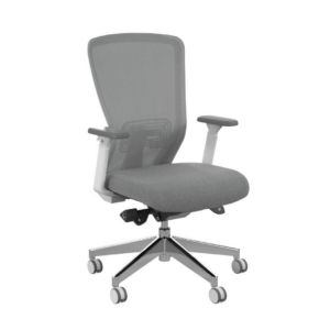 Workspace48 Compass task Chair; White/Grey White frame with grey fabric seat Seat depth adjustment Pneumatic height adjustment Adjustable arms Breathable mesh back Seat back tension adjustment Heavy duty castors 10 year warranty
